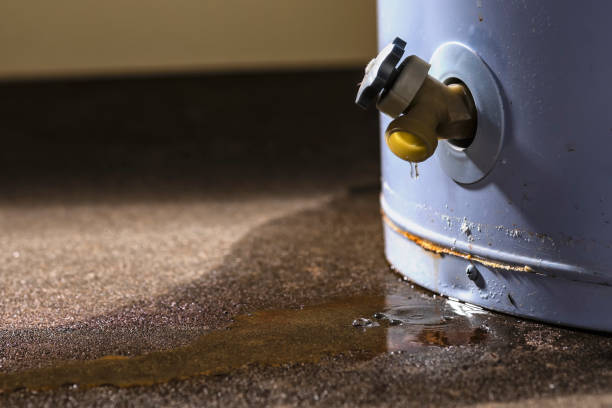 Best Flood damage cleanup  in Kansas City, KS