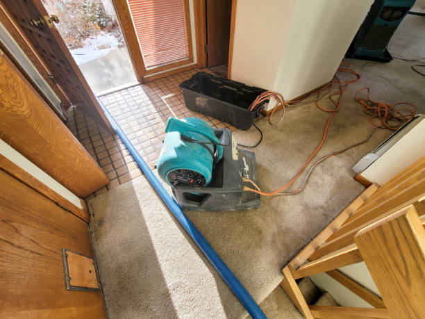Best Basement water damage restoration  in Kansas City, KS