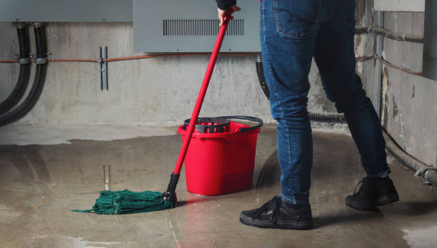Best Basement water damage restoration  in Kansas City, KS