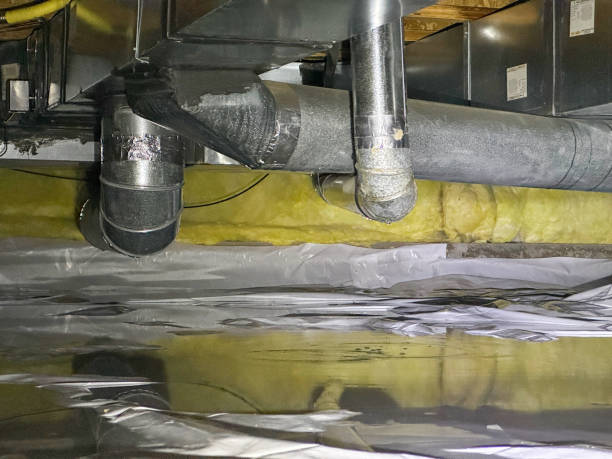Best Water damage restoration specialists  in Kansas City, KS