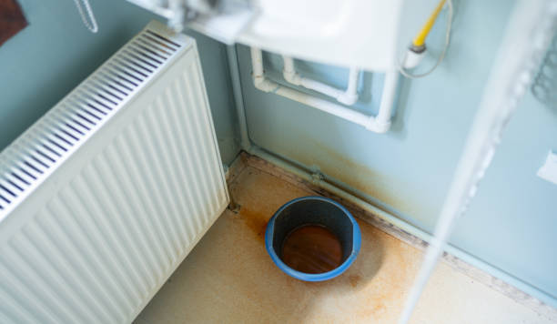 Best Sewage cleanup and water damage restoration  in Kansas City, KS