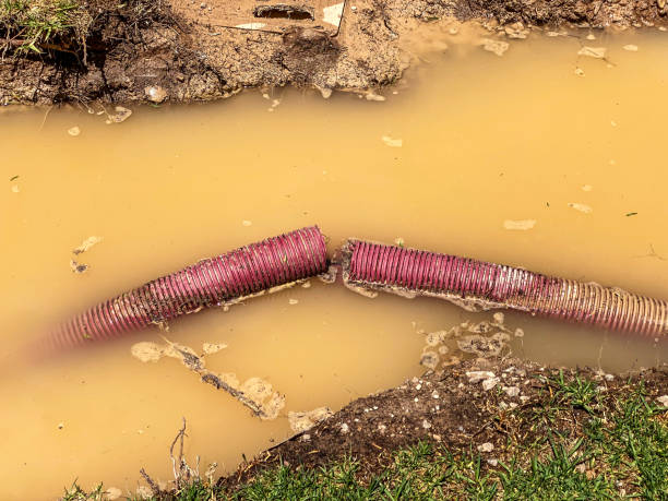 Best Water damage restoration mold remediation  in Kansas City, KS